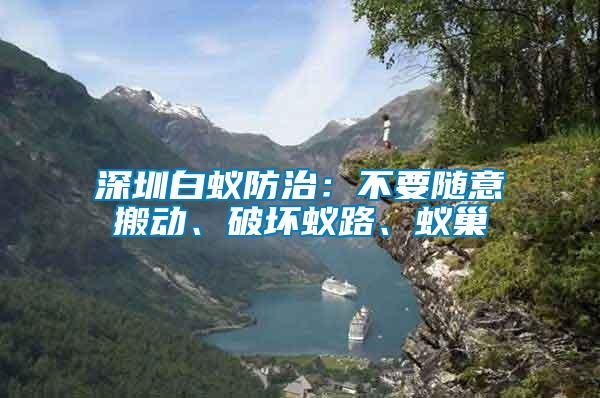深圳白蟻防治：不要隨意搬動、破壞蟻路、蟻巢