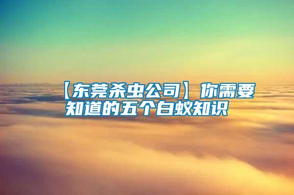 【東莞殺蟲公司】你需要知道的五個(gè)白蟻知識