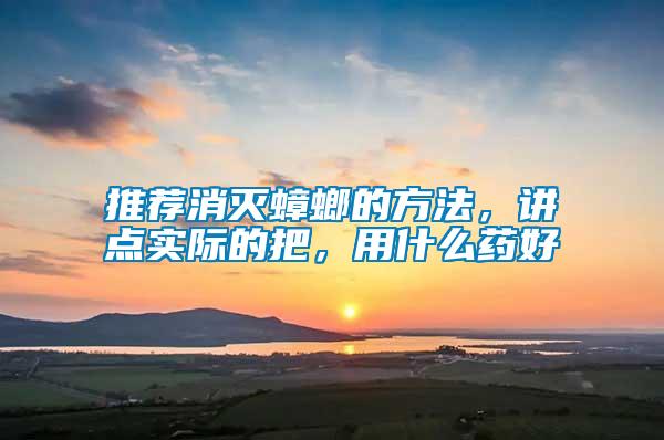 推薦消滅蟑螂的方法，講點實際的把，用什么藥好