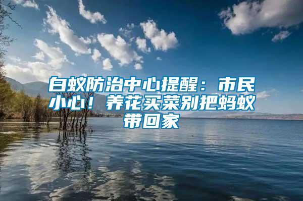 白蟻防治中心提醒：市民小心！養(yǎng)花買菜別把螞蟻帶回家