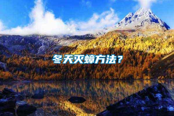 冬天滅蟑方法？
