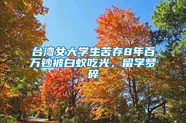 臺灣女大學生苦存8年百萬鈔被白蟻吃光，留學夢碎