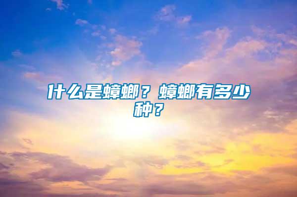 什么是蟑螂？蟑螂有多少種？