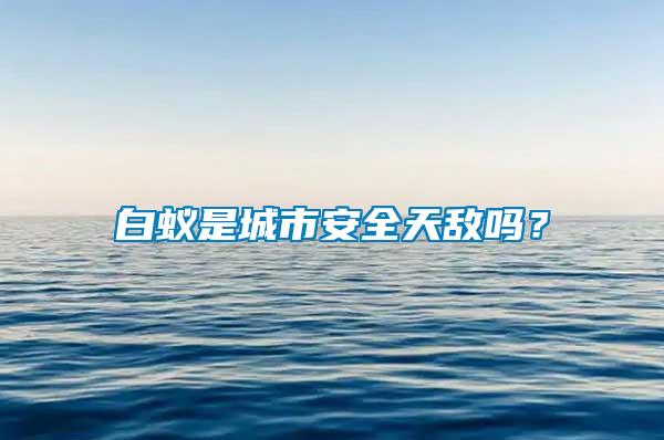 白蟻是城市安全天敵嗎？