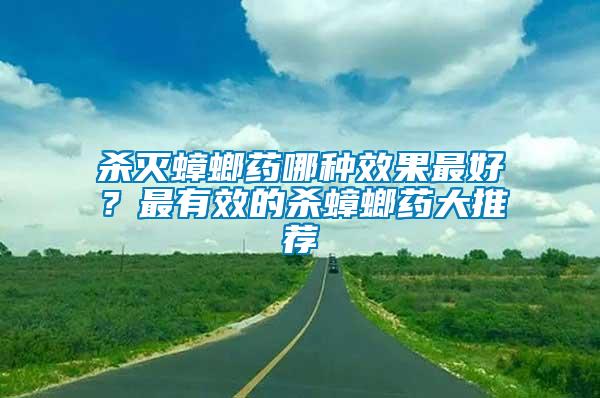 殺滅蟑螂藥哪種效果最好？最有效的殺蟑螂藥大推薦