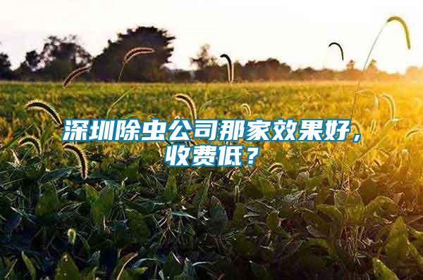 深圳除蟲公司那家效果好，收費(fèi)低？