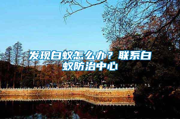 發現白蟻怎么辦？聯系白蟻防治中心