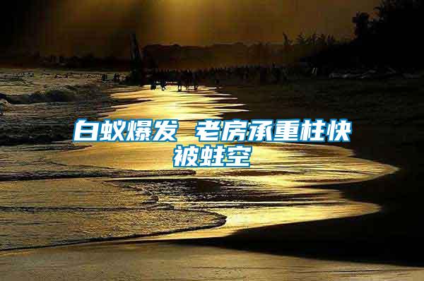 白蟻爆發 老房承重柱快被蛀空