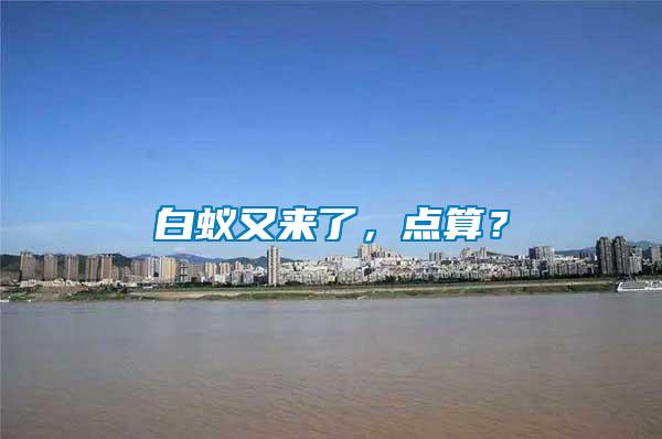 白蟻又來了，點(diǎn)算？