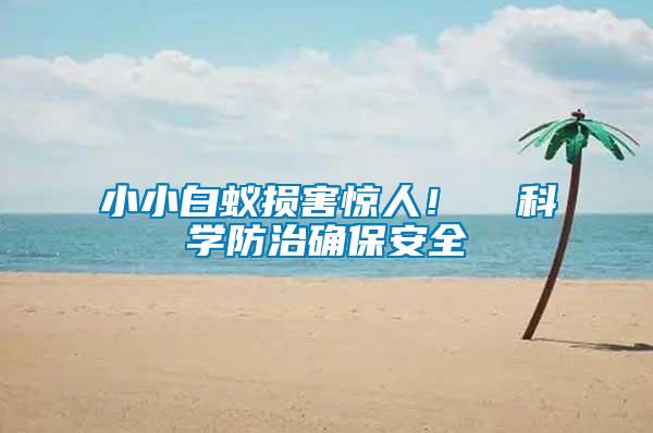 小小白蟻損害驚人！  科學(xué)防治確保安全