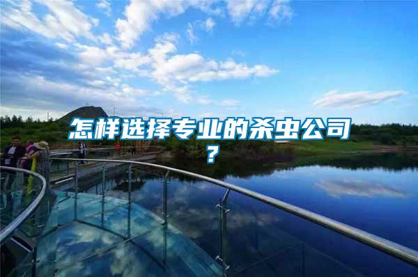 怎樣選擇專業的殺蟲公司？