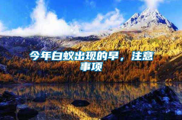 今年白蟻出現的早，注意事項