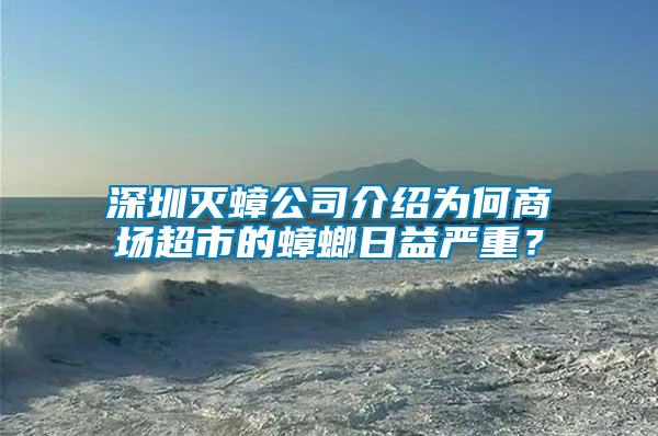 深圳滅蟑公司介紹為何商場超市的蟑螂日益嚴重？