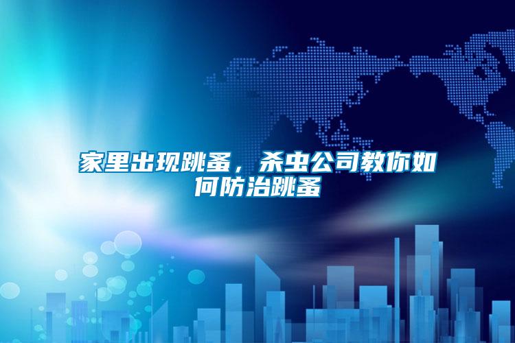 家里出現(xiàn)跳蚤，殺蟲公司教你如何防治跳蚤