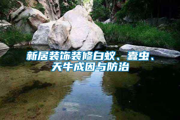 新居裝飾裝修白蟻、蠹蟲、天牛成因與防治
