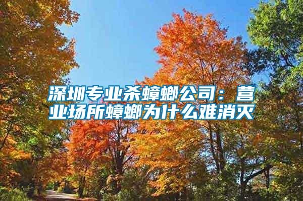 深圳專業殺蟑螂公司：營業場所蟑螂為什么難消滅