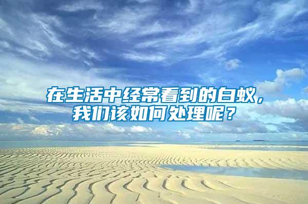 在生活中經(jīng)常看到的白蟻，我們該如何處理呢？