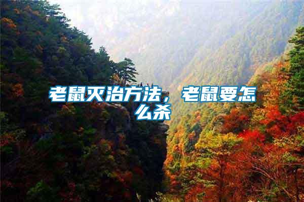 老鼠滅治方法，老鼠要怎么殺