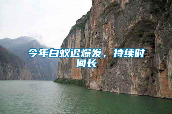 今年白蟻遲爆發，持續時間長