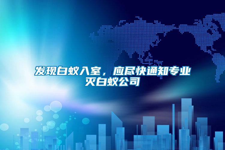 發現白蟻入室，應盡快通知專業滅白蟻公司