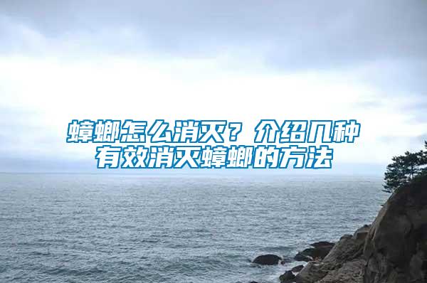 蟑螂怎么消滅？介紹幾種有效消滅蟑螂的方法