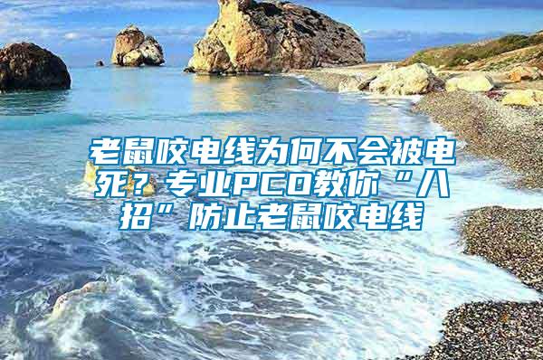 老鼠咬電線為何不會被電死？專業PCO教你“八招”防止老鼠咬電線