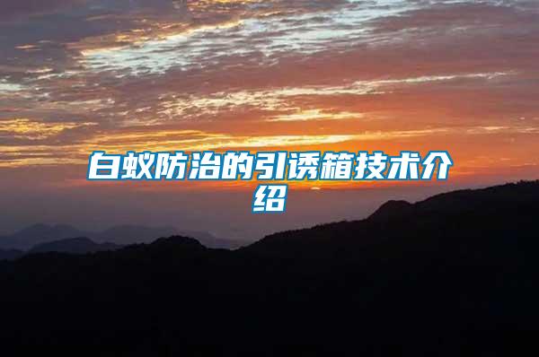 白蟻防治的引誘箱技術介紹