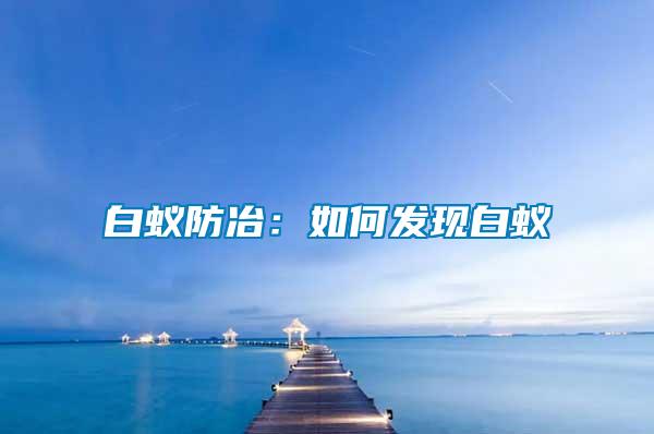 白蟻防冶：如何發(fā)現白蟻