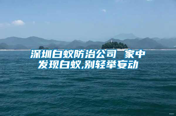 深圳白蟻防治公司 家中發現白蟻,別輕舉妄動