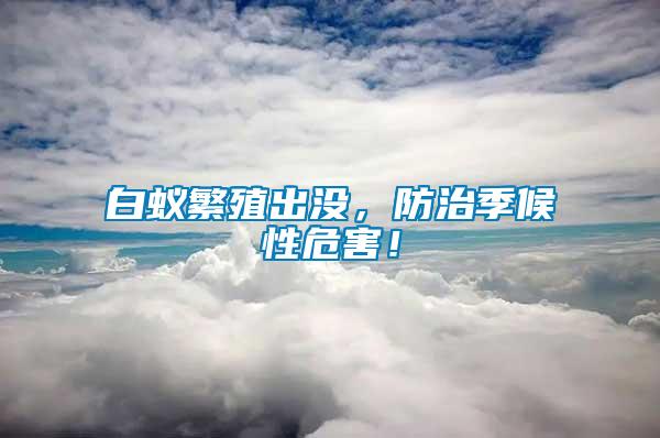 白蟻繁殖出沒，防治季候性危害！