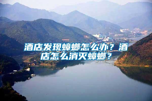 酒店發現蟑螂怎么辦？酒店怎么消滅蟑螂？