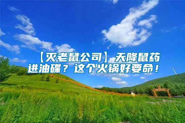【滅老鼠公司】天降鼠藥進(jìn)油碟？這個(gè)火鍋好要命！