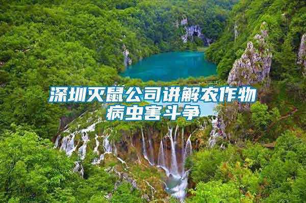 深圳滅鼠公司講解農作物病蟲害斗爭