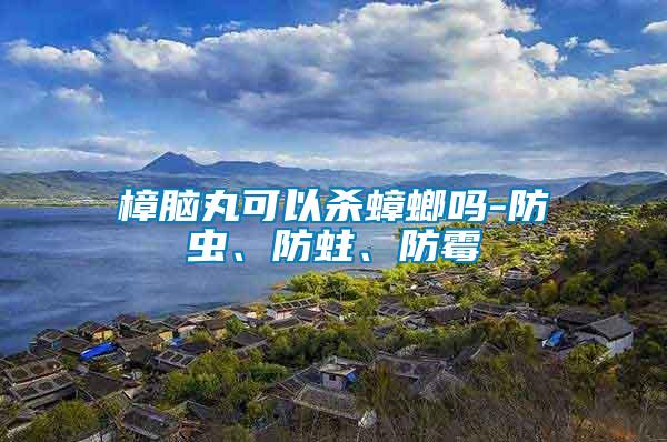 樟腦丸可以殺蟑螂嗎-防蟲、防蛀、防霉
