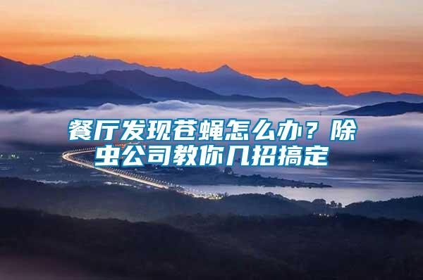 餐廳發現蒼蠅怎么辦？除蟲公司教你幾招搞定