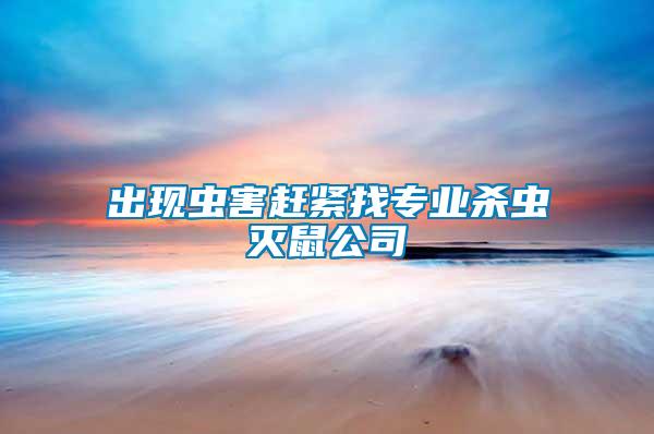 出現蟲害趕緊找專業殺蟲滅鼠公司