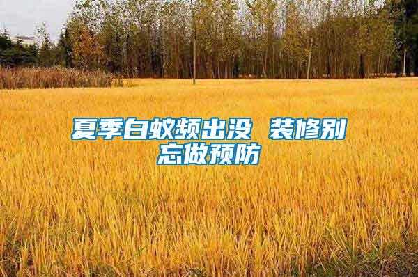 夏季白蟻頻出沒(méi) 裝修別忘做預(yù)防