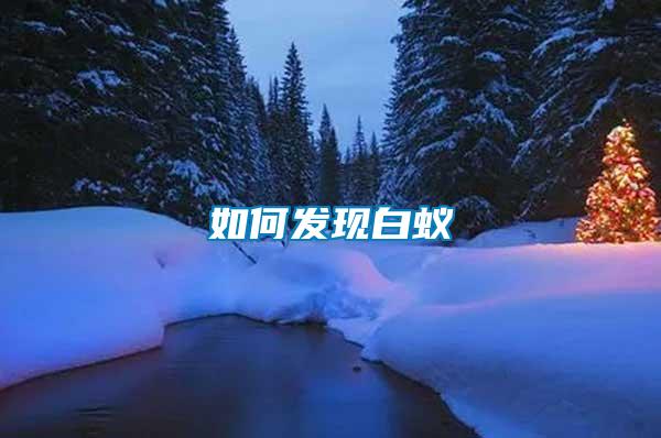 如何發現白蟻