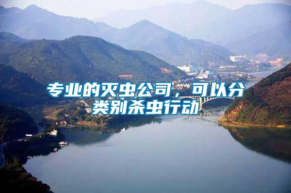 專業的滅蟲公司，可以分類別殺蟲行動