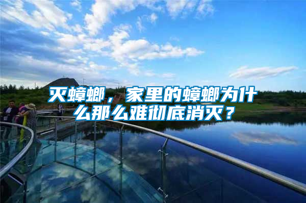 滅蟑螂，家里的蟑螂為什么那么難徹底消滅？