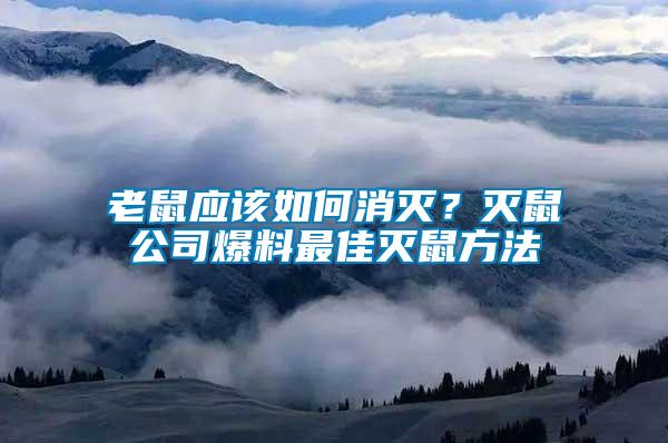 老鼠應該如何消滅？滅鼠公司爆料最佳滅鼠方法