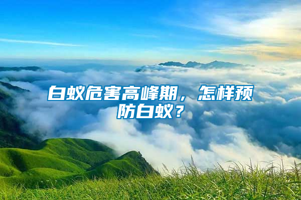白蟻危害高峰期，怎樣預防白蟻？
