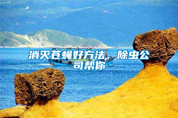 消滅蒼蠅好方法，除蟲公司幫你