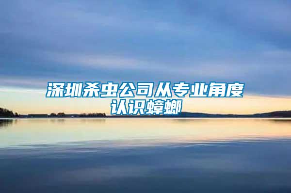 深圳殺蟲(chóng)公司從專(zhuān)業(yè)角度認(rèn)識(shí)蟑螂