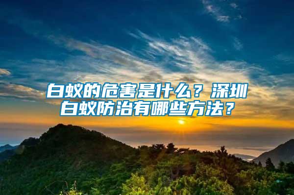 白蟻的危害是什么？深圳白蟻防治有哪些方法？