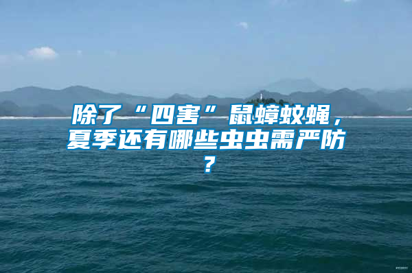 除了“四害”鼠蟑蚊蠅，夏季還有哪些蟲蟲需嚴防？