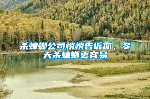 殺蟑螂公司悄悄告訴你，冬天殺蟑螂更容易