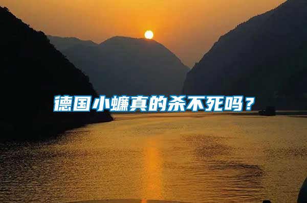 德國小蠊真的殺不死嗎？
