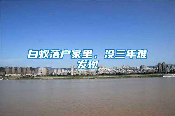 白蟻落戶家里，沒三年難發現