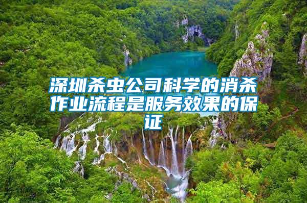 深圳殺蟲公司科學的消殺作業流程是服務效果的保證